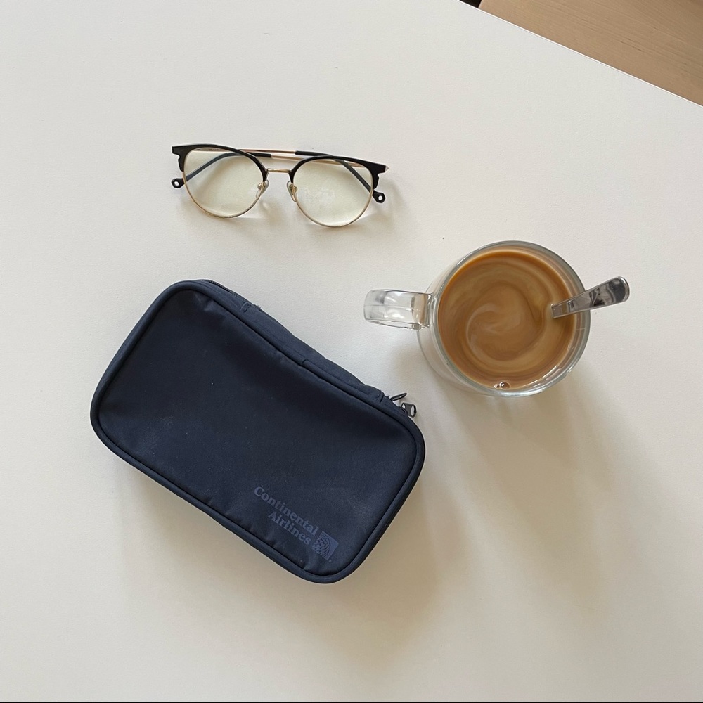 vintage airline toiletry bag